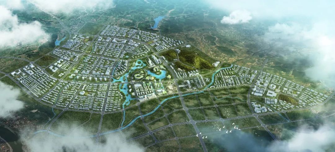 疫情防控期间,规划一所的中标之路-31