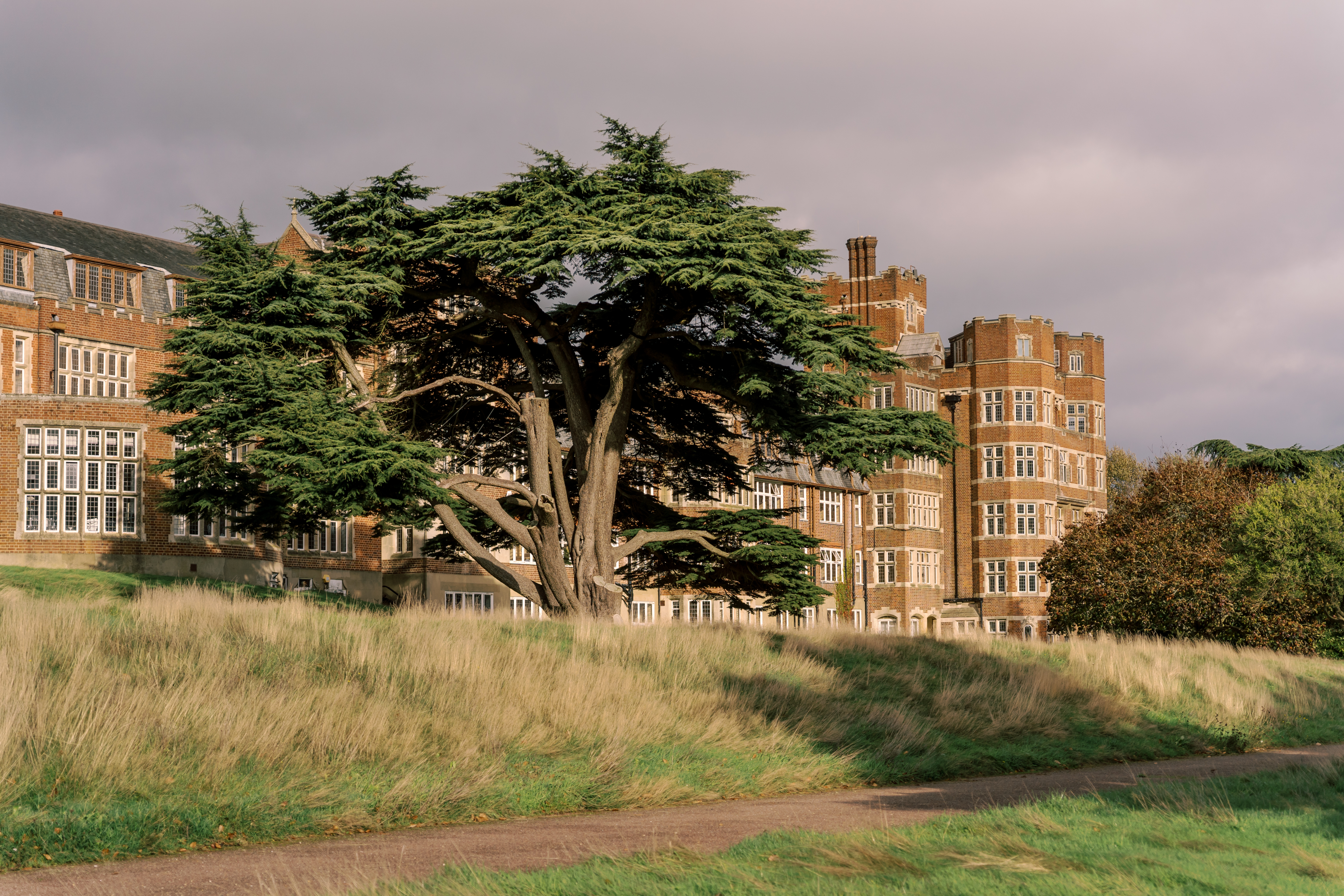 "伦敦郊区绿色生态酒店 Birch Selsdon | 古典与现代的完美融合"-5