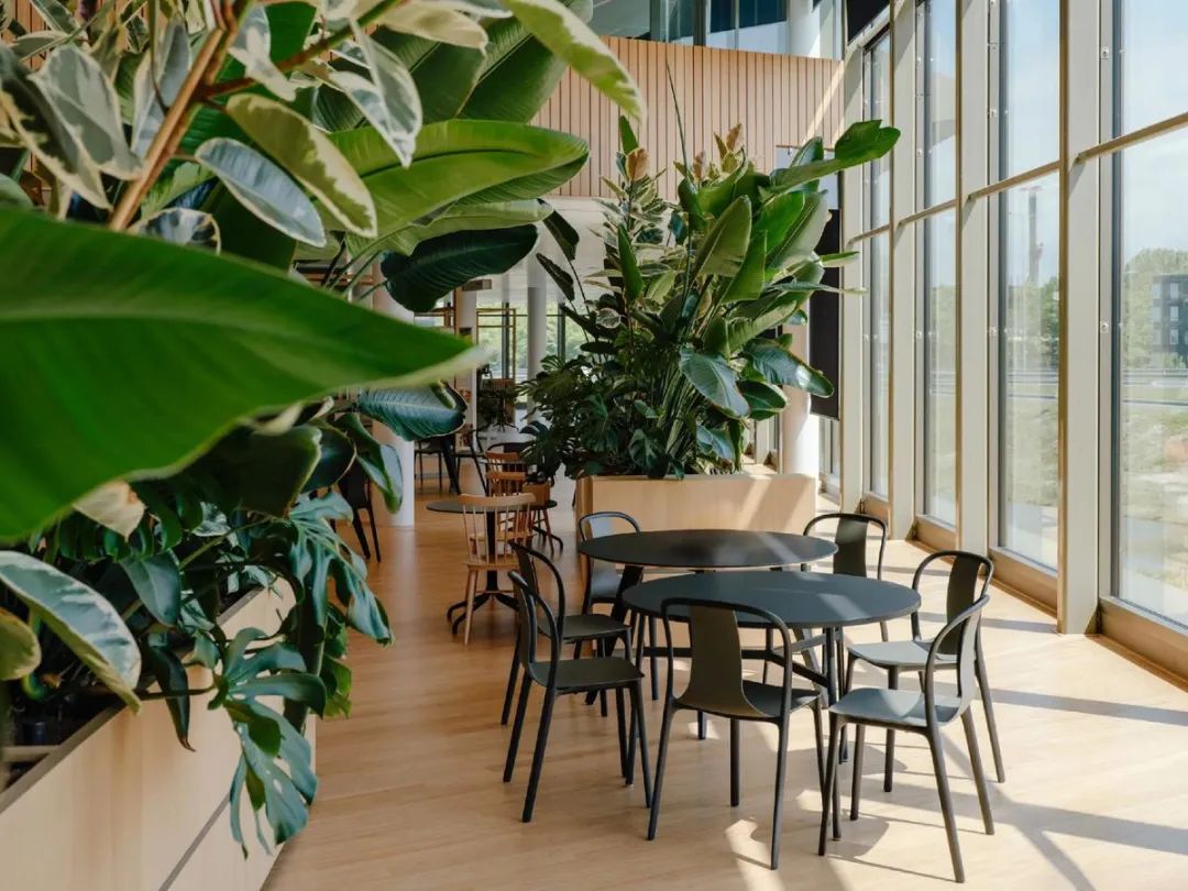 Galapagos企业总部丨荷兰丨CBRE-34