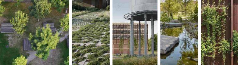 美诺瓦校园丨德国法兰克福-9