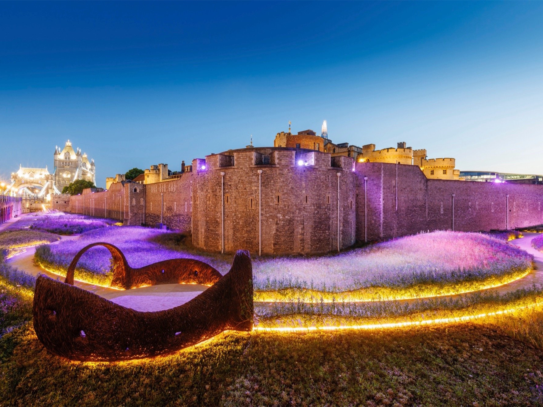 英国超级布鲁姆活动丨英国伦敦-2