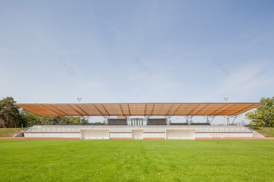 森林边缘的体育场馆 | Philippe Mahut 体育场看台-10