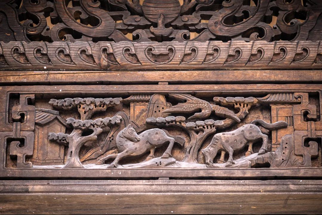 金沙操盘 | 成功经验：从河南火到全国各地（实地考察+主题演讲）-142