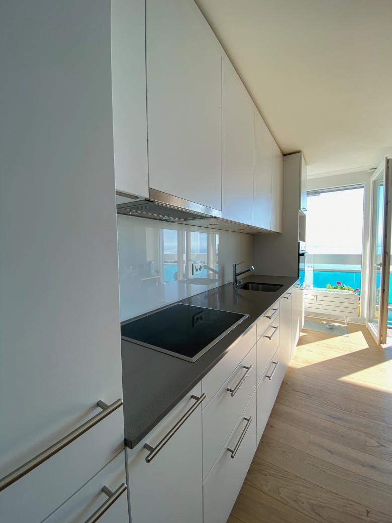 Cosentino Swiss AG丨Chemin de Primerose丨瑞士-2