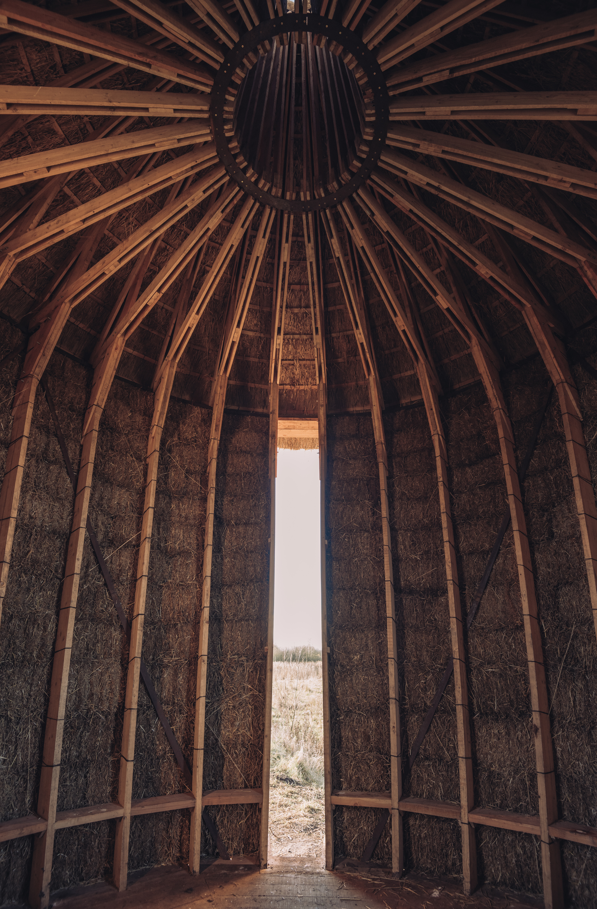 Mother Pavilion / Studio Morison-14