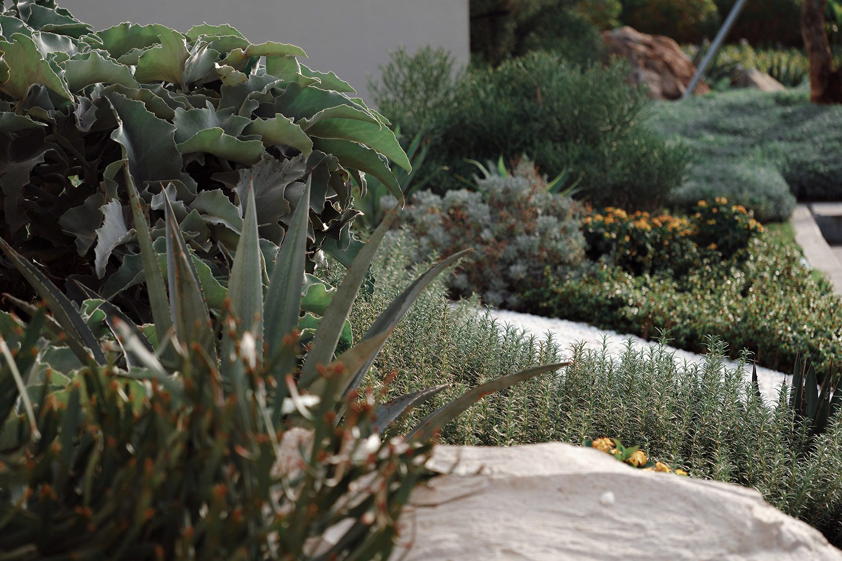 Y 酒店丨中国三亚丨WTD纬图设计-70