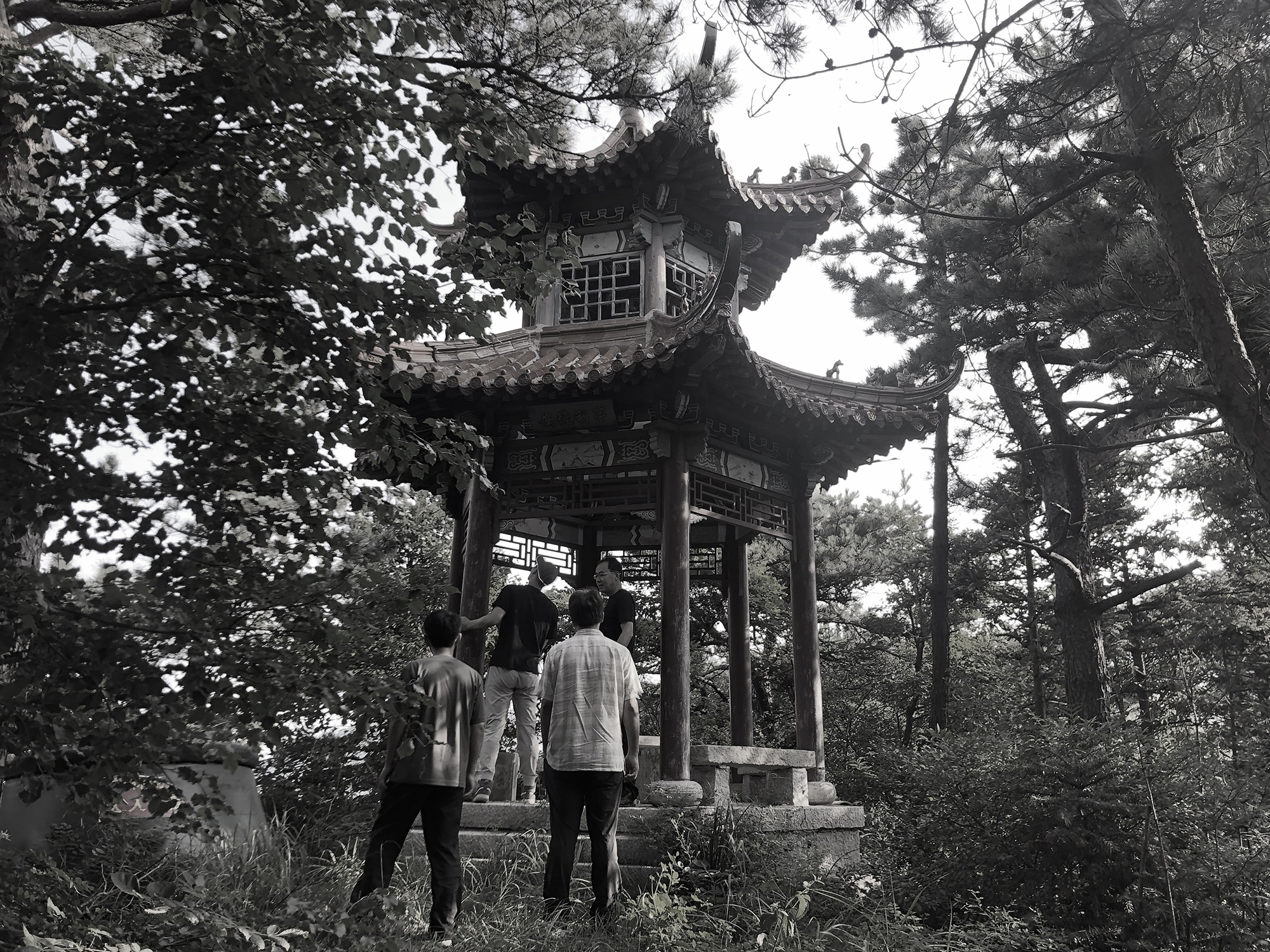 昆嵛山国家级自然保护区基础设施设计项目丨大小景观团队（Atelier Scale）-177