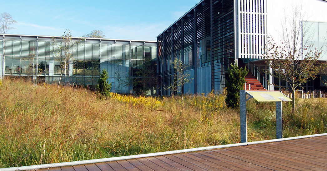 国际野生动物保护区基金会景观恢复项目丨IFAW-7