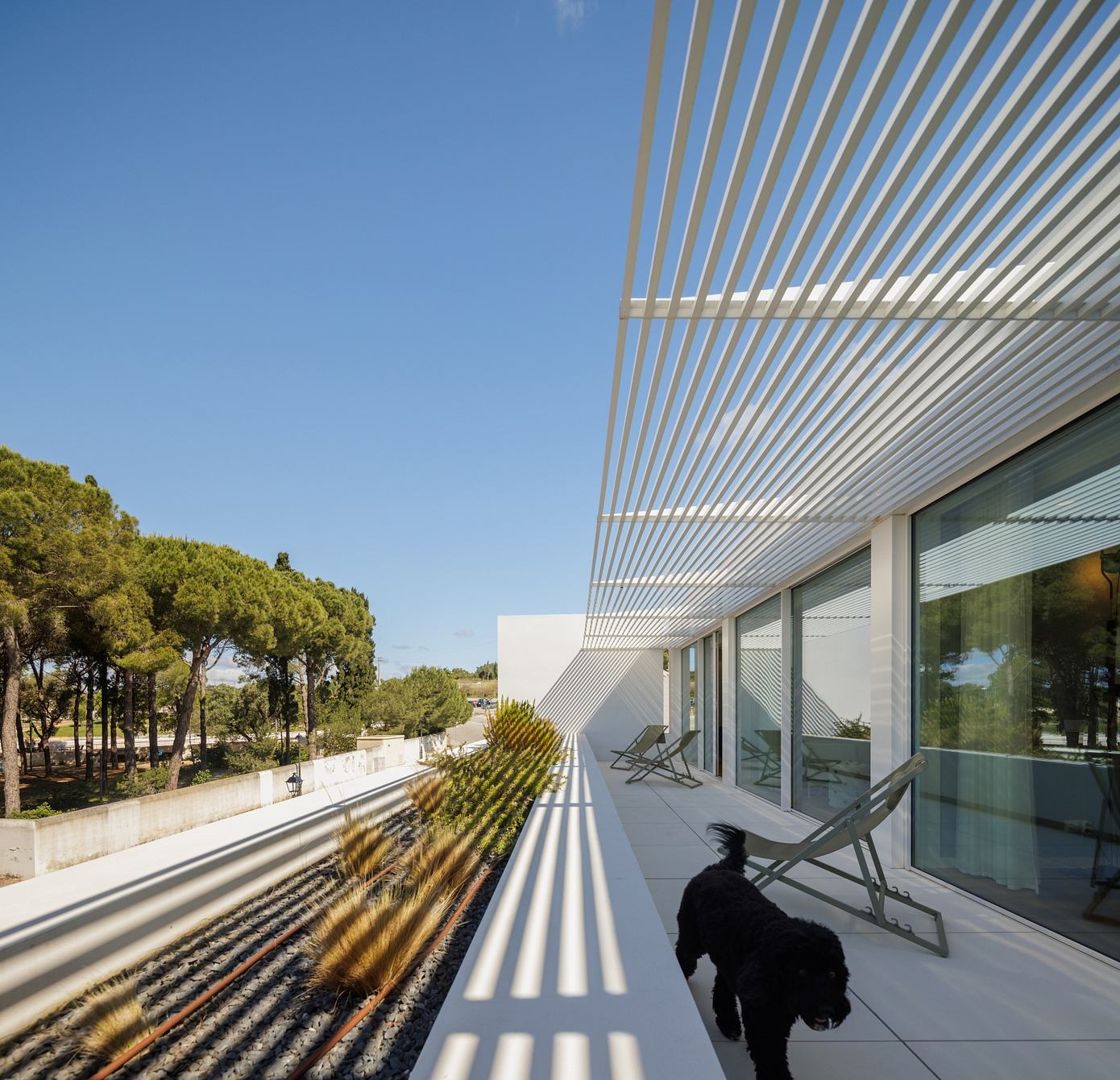 丨葡萄牙丨Visioarq Arquitectos-10