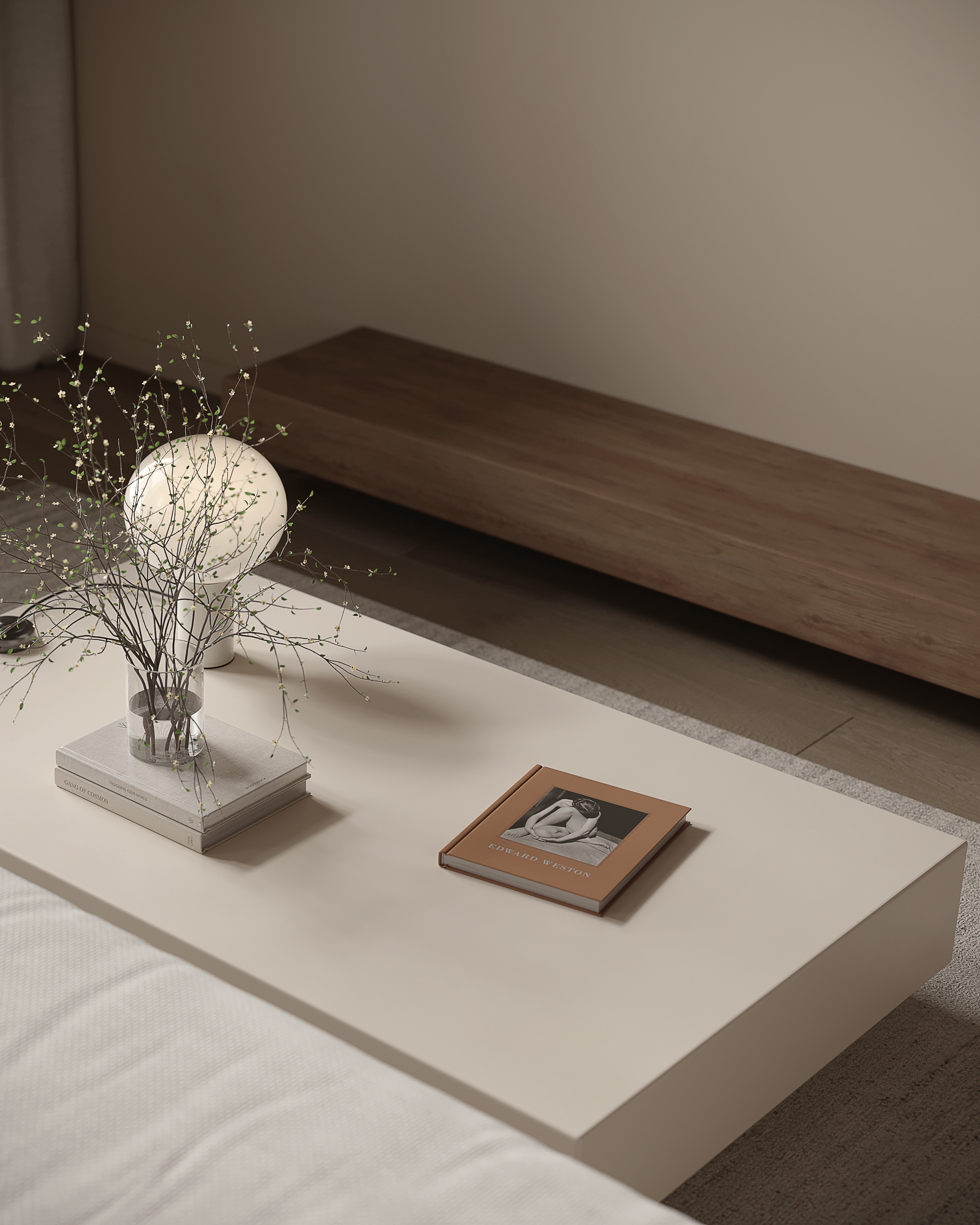 Minimalistic apartment design project-1