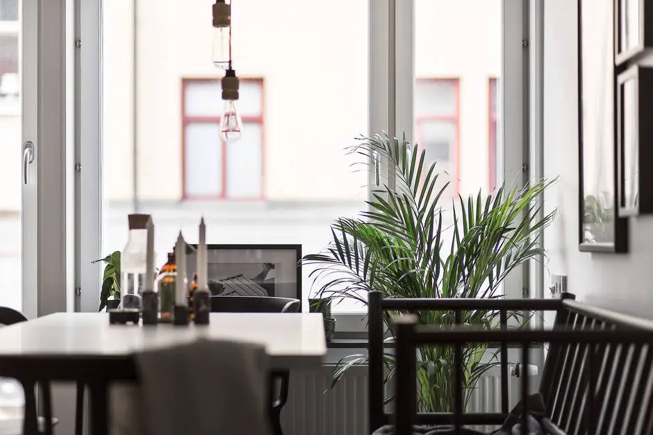 巧妙改造！衣架变客厅照片展示架-12