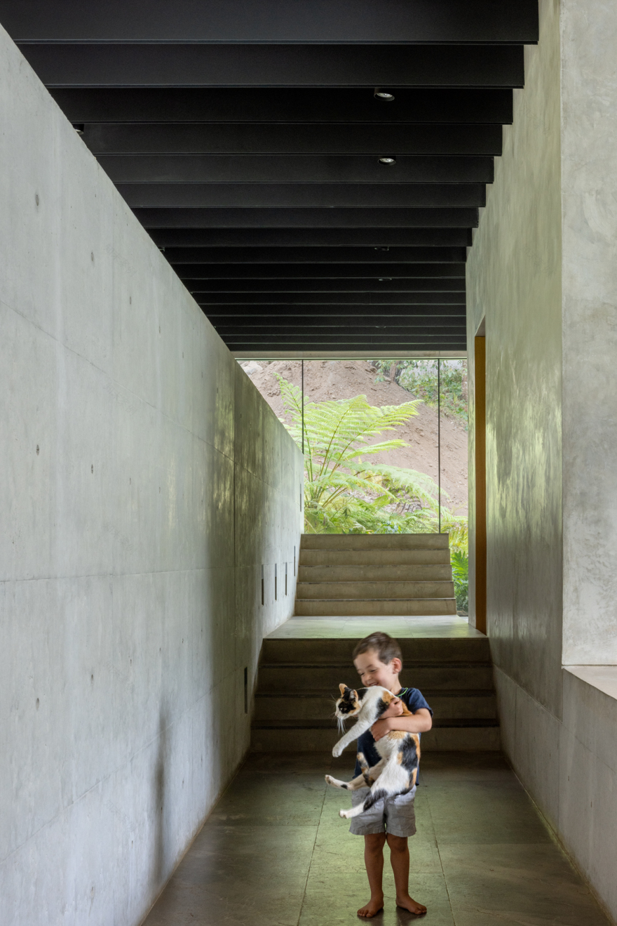 阿万达罗的房子丨墨西哥-49