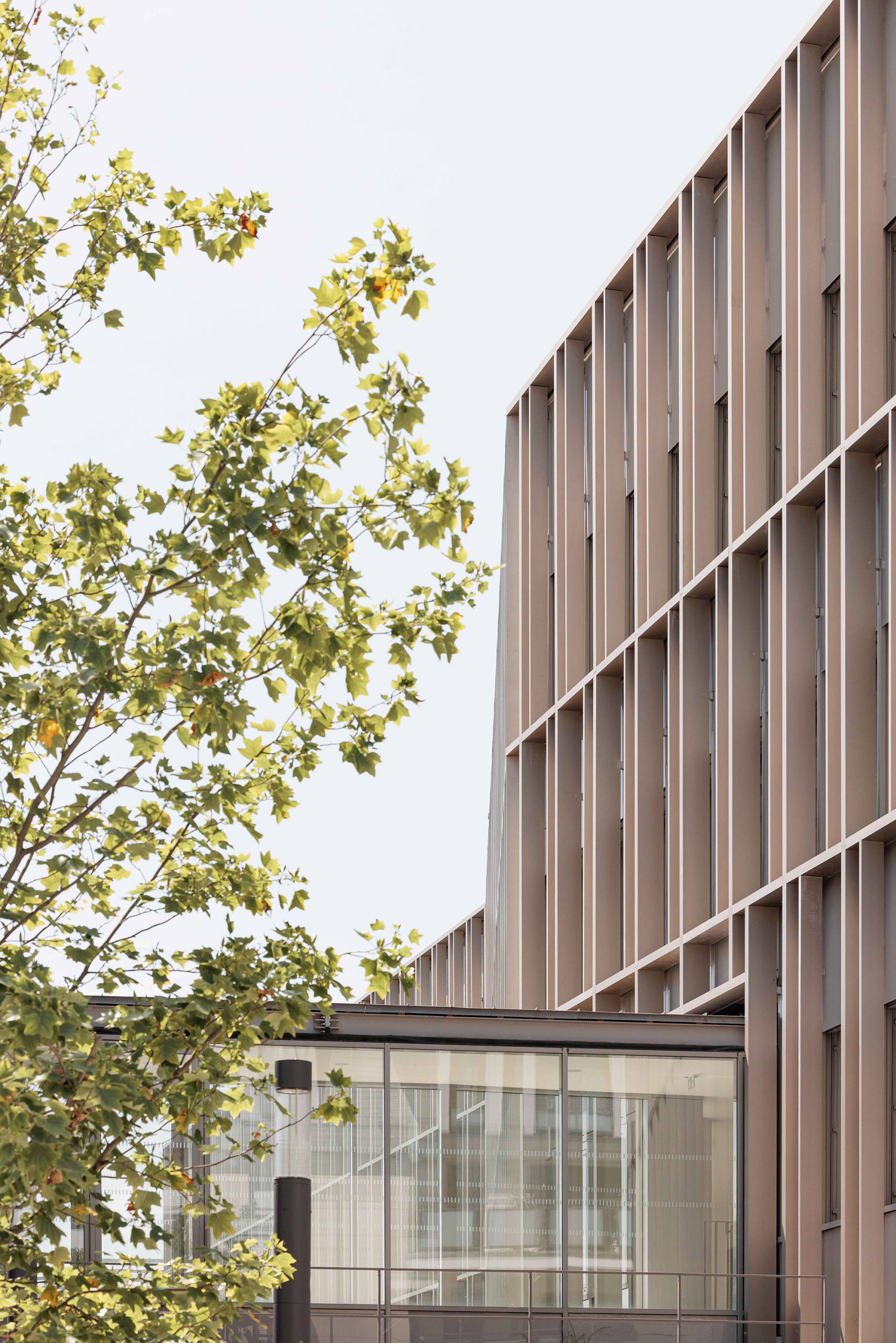 Vincennes国际高中丨Ateliers 2,3,4,（建筑+景观）等多团队-46