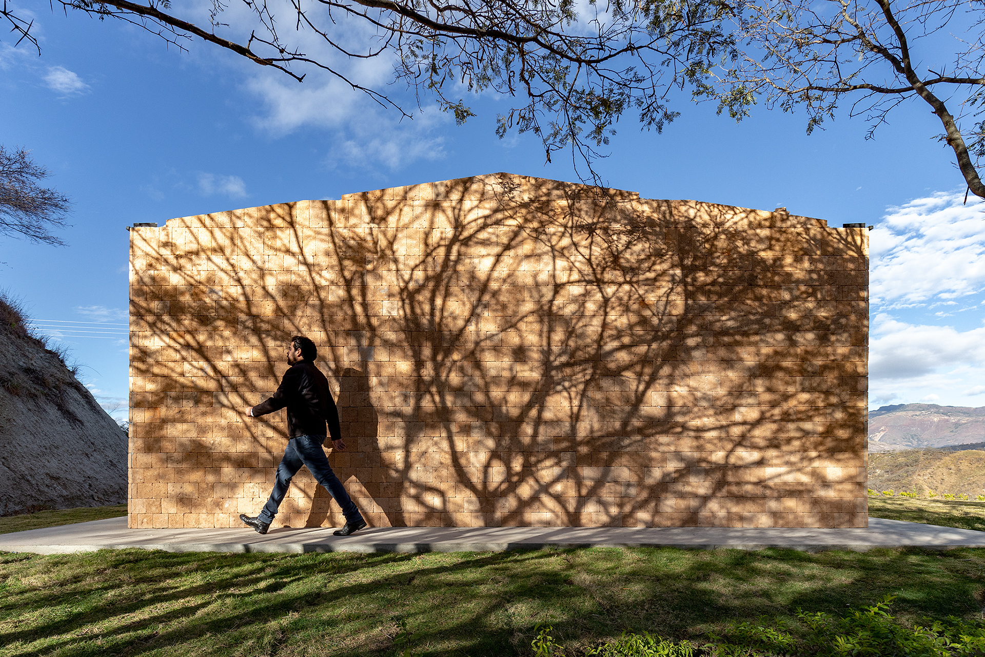 Native House  / David Regalado Arquitectura-19