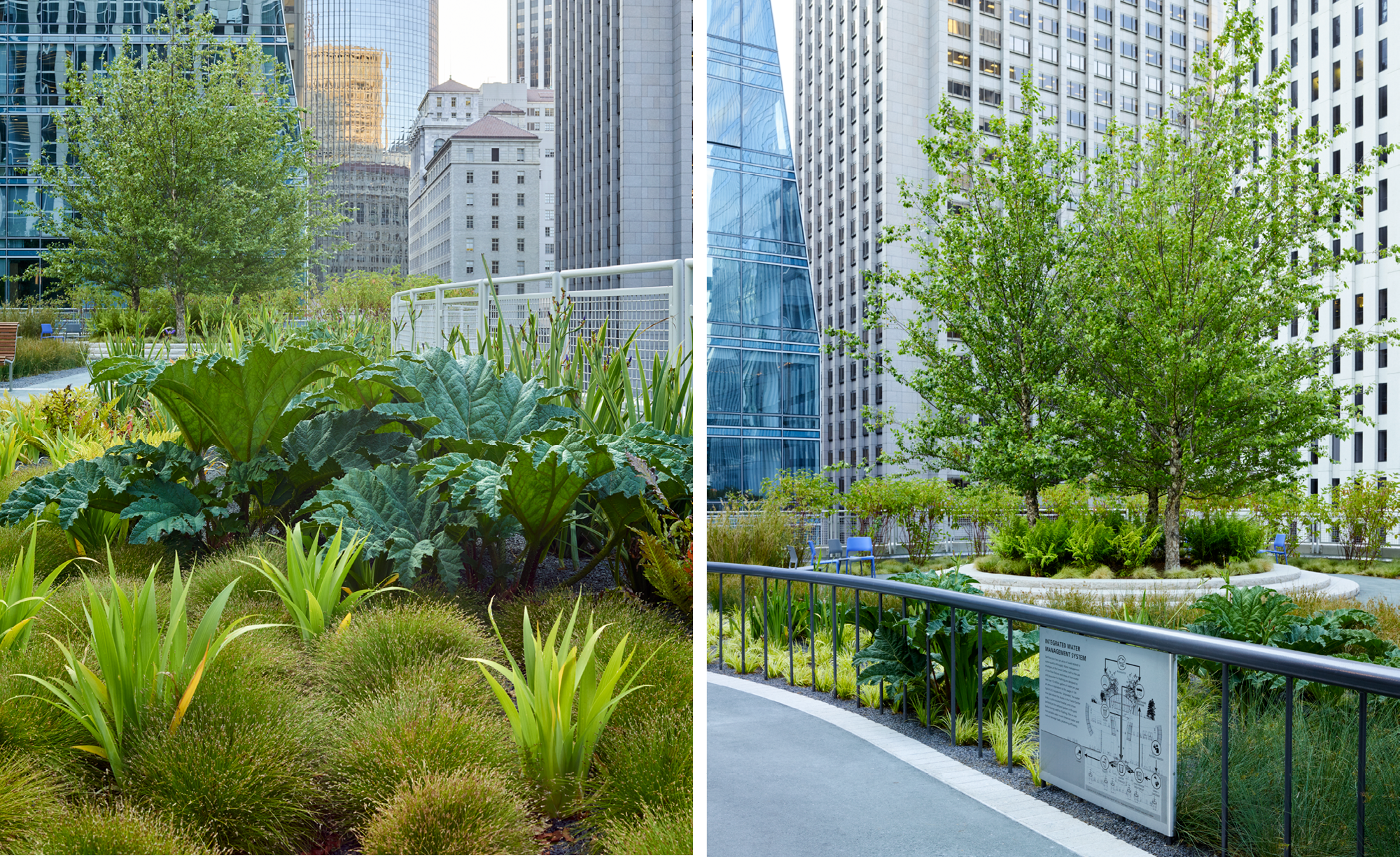 Salesforce交通枢纽公园丨美国丨PWP-13