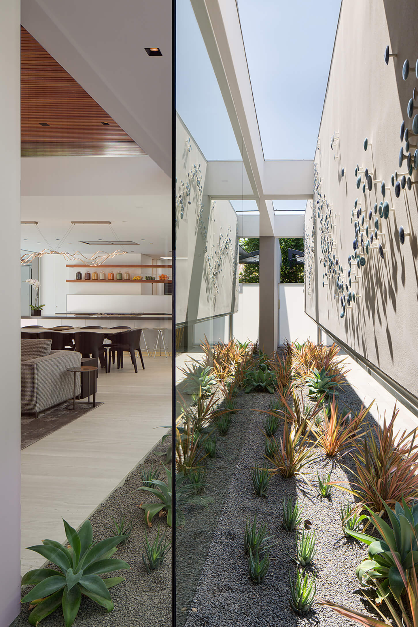 霍克·科罗纳多丨美国加利福尼亚-17