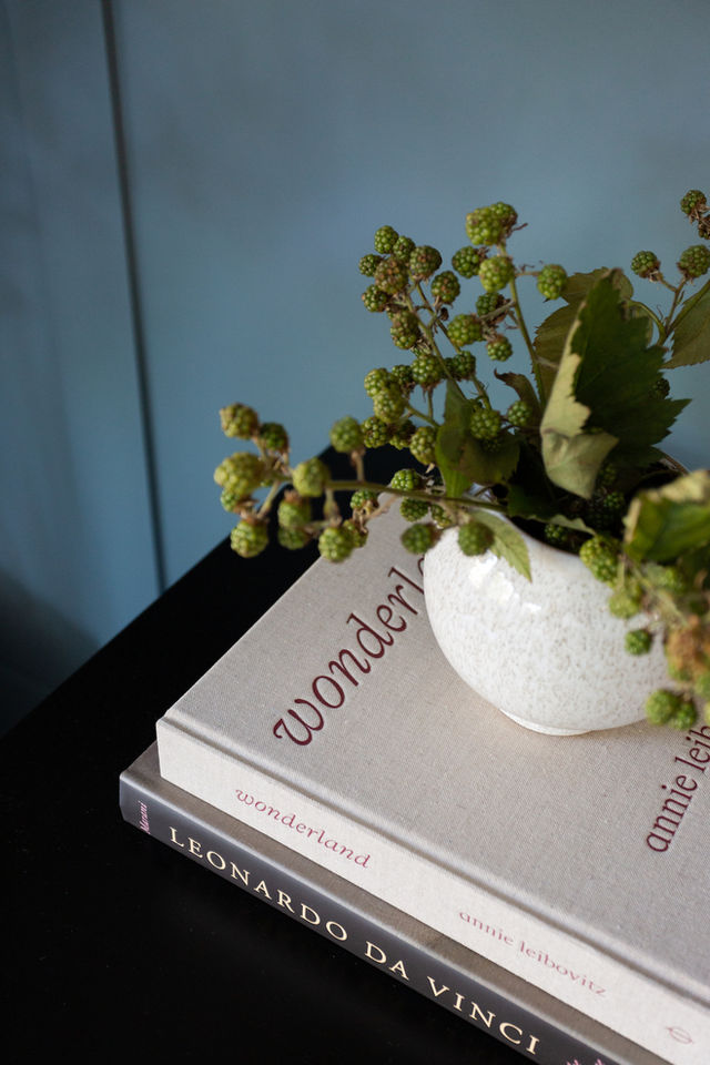 Bear Fence住宅主卧套房改造丨美国加利福尼亚-13