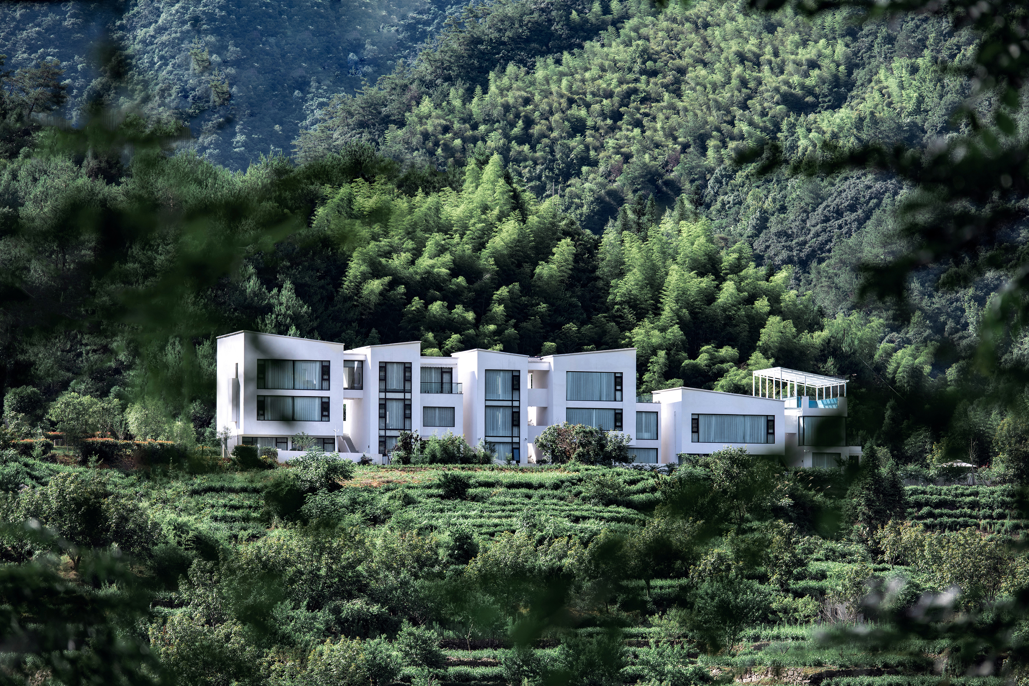 山川之间的岐院 · 与自然共生的诗意栖居丨中国杭州丨上海平介建筑设计事务所-14