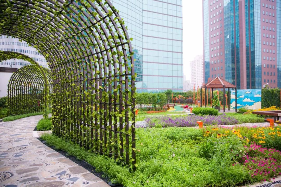 东方渔人码头丨中国上海-29