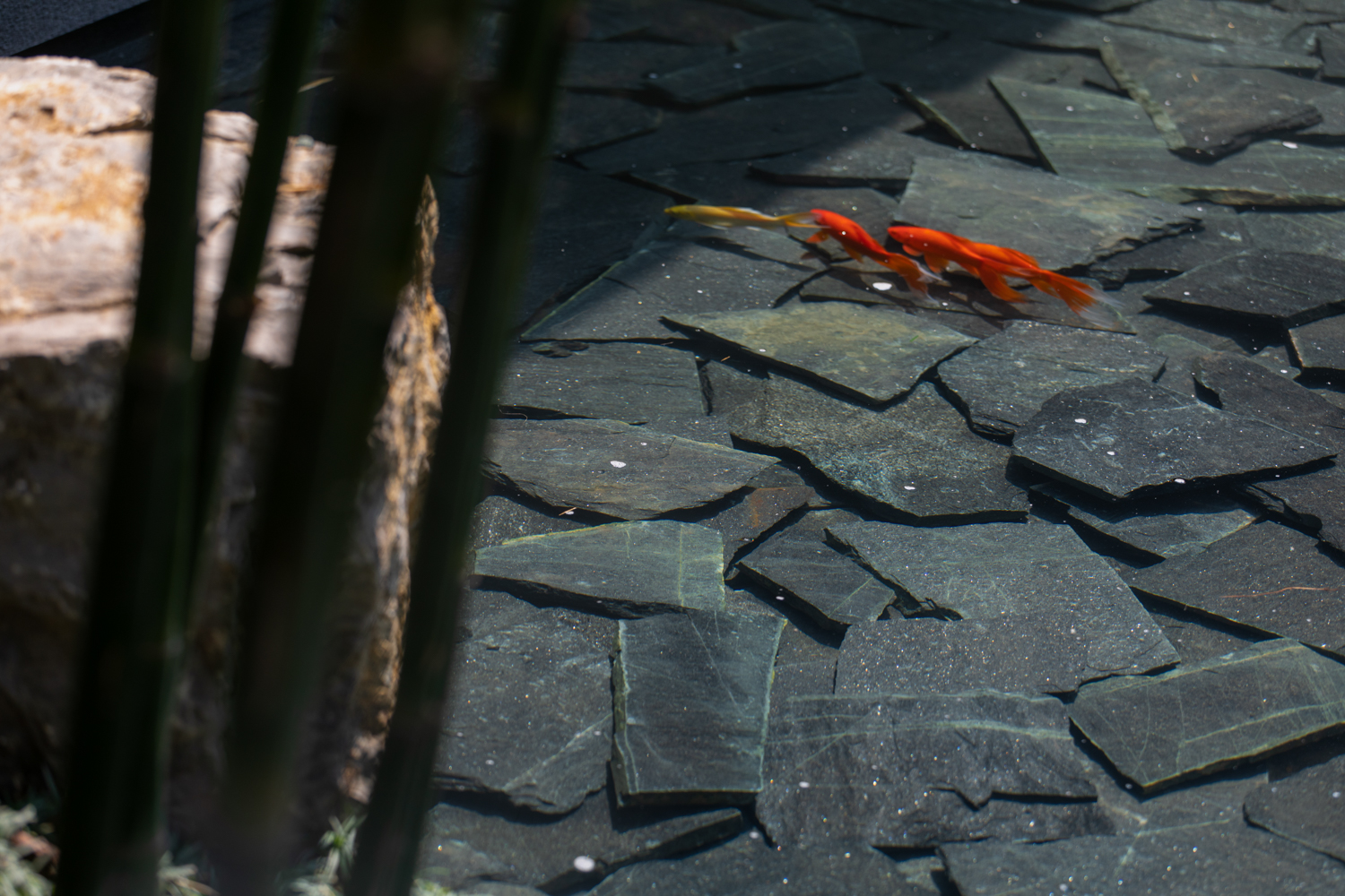 香港置地卓越集团·林山郡-40