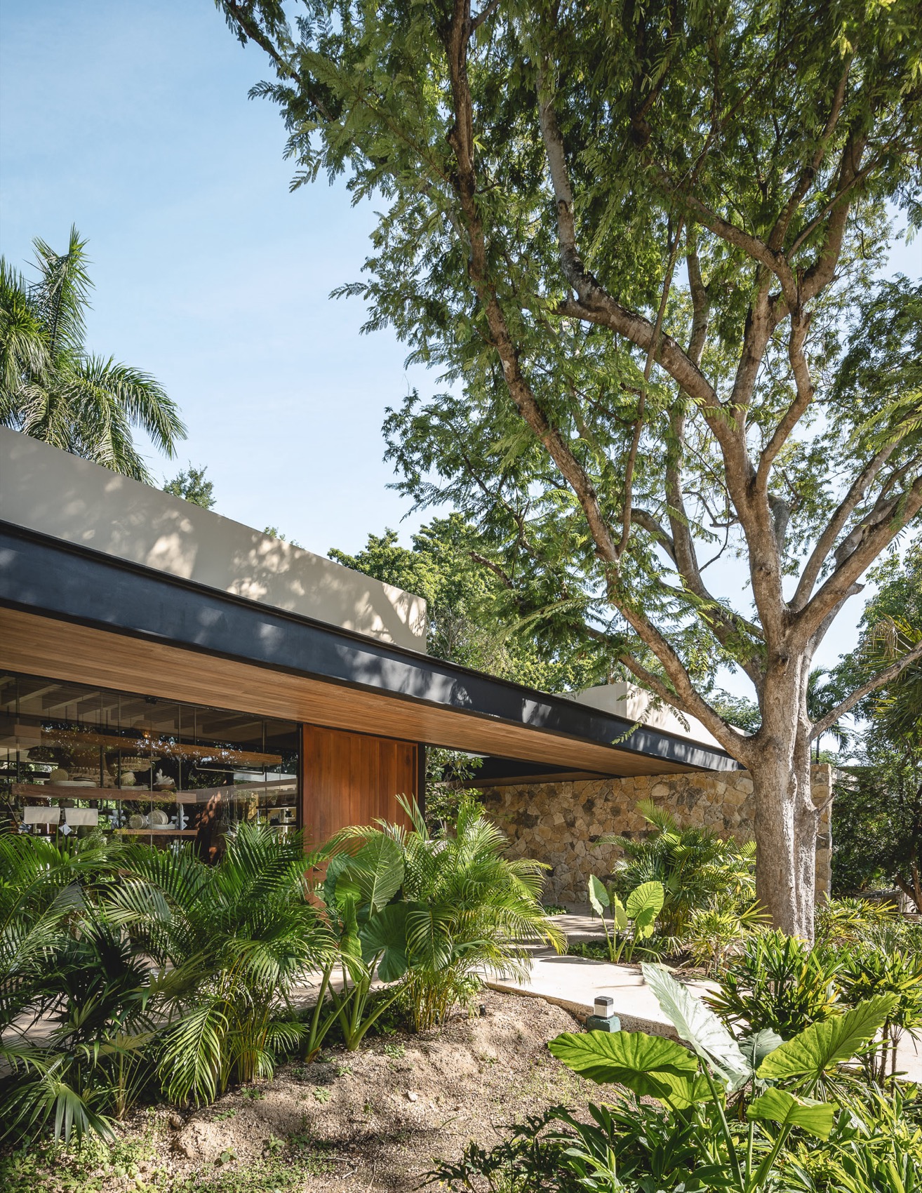 Xcanatún水疗中心丨墨西哥丨Taller Mexicano de Arquitectura-17