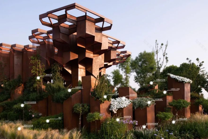 2023德阳市花月季展德阳园 | 齿轮花园-112