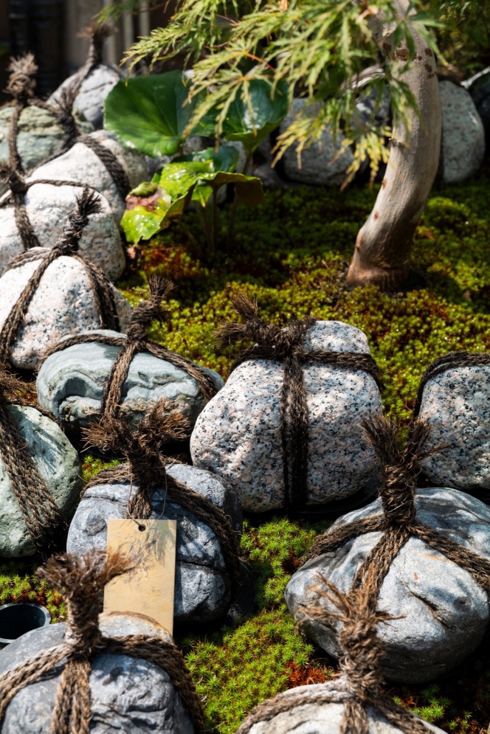 正福寺墓园Sōbon丨日本东京丨Love Architecture-44