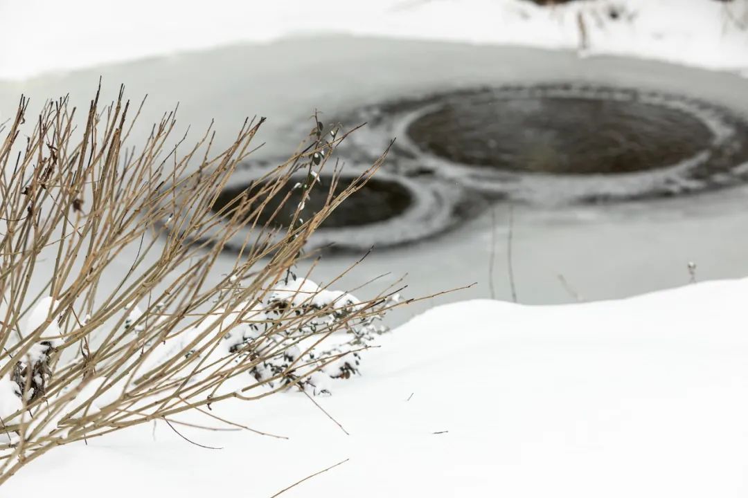 乌克兰 Shkrub 住宅丨Serhii Makhno-58