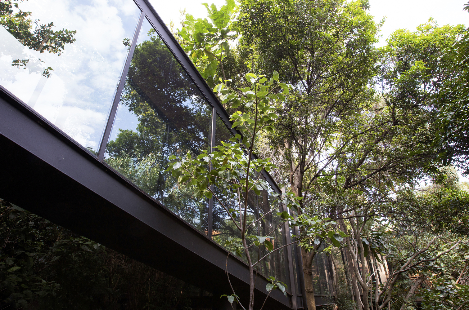 南非树屋丨南非比勒陀利亚丨Drawbox Design Studio Architects-24