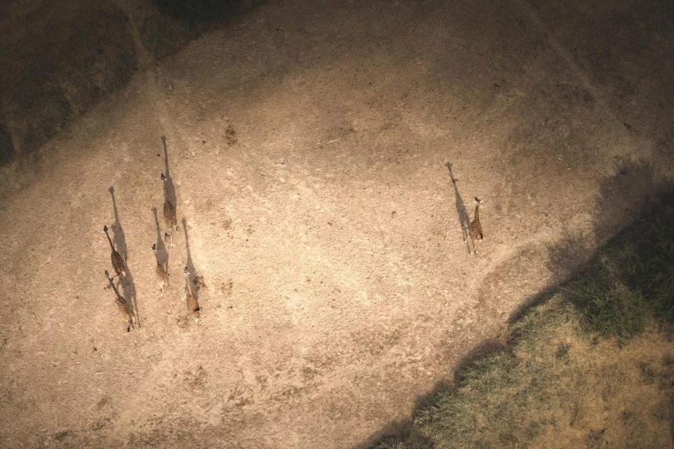 航拍系列,Martin Sanchez-22