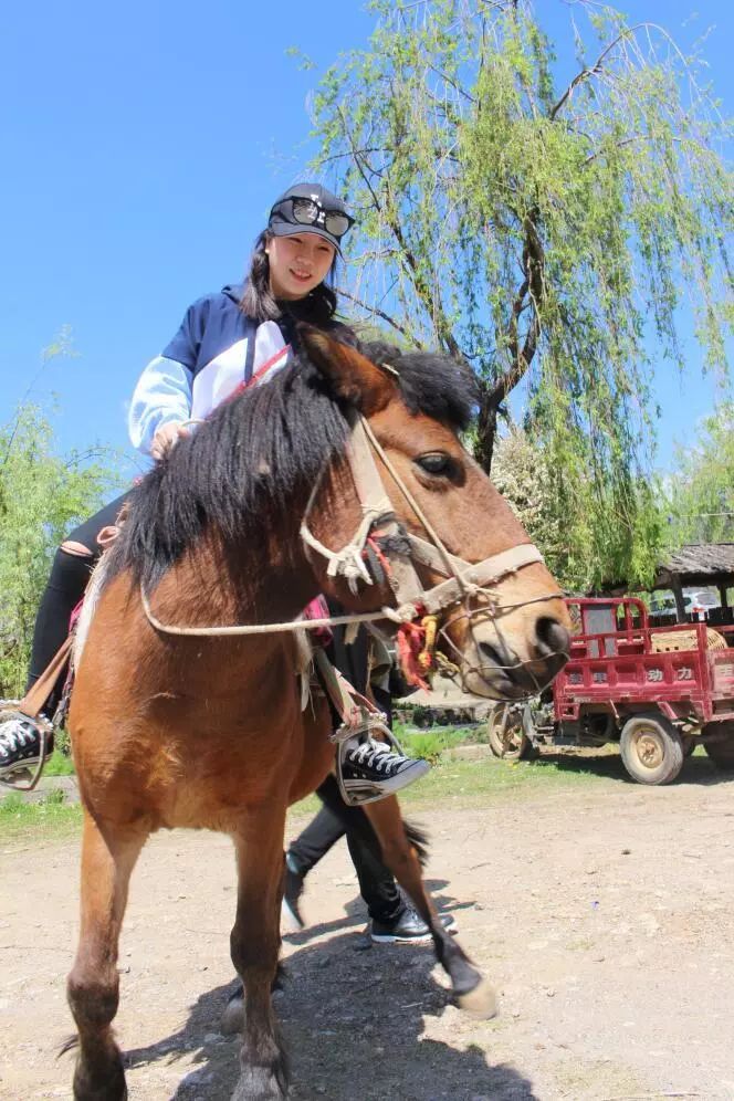 四口之家的温馨宜居空间丨中国宁波丨星杰设计-61