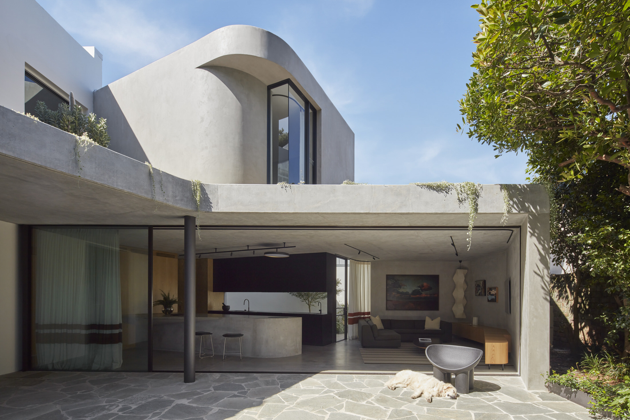 混凝土与绿意的和谐共舞 · Grove House丨澳大利亚悉尼丨Clayton Orszaczky-13