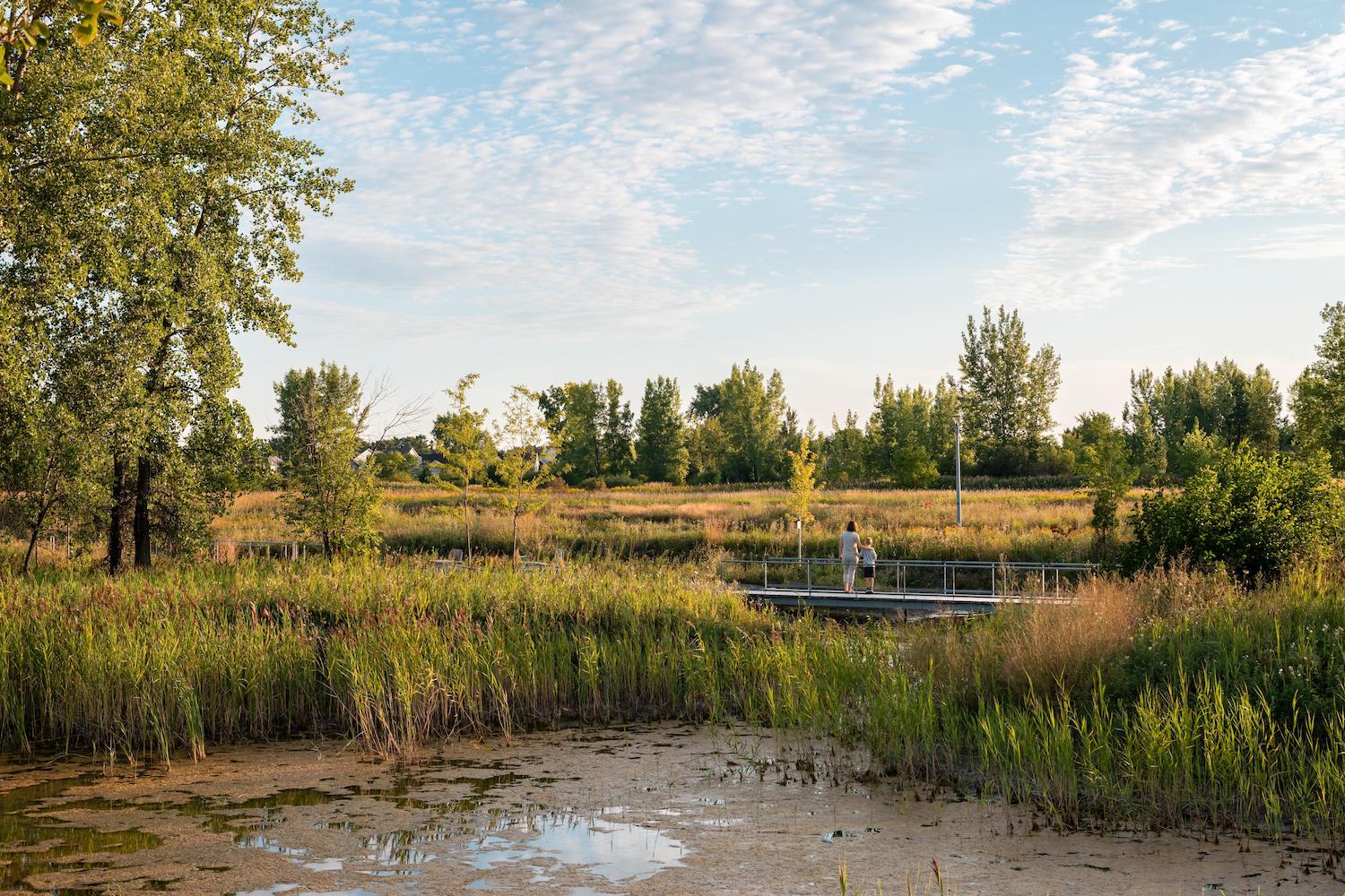 加拿大汇流区市民空间丨加拿大魁北克-13