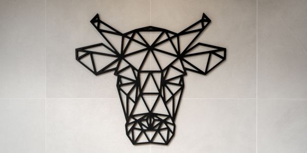 丨荷兰丨Arjen Reas Architecten-17