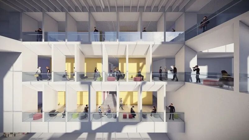 树生场馆，城伴林长-25