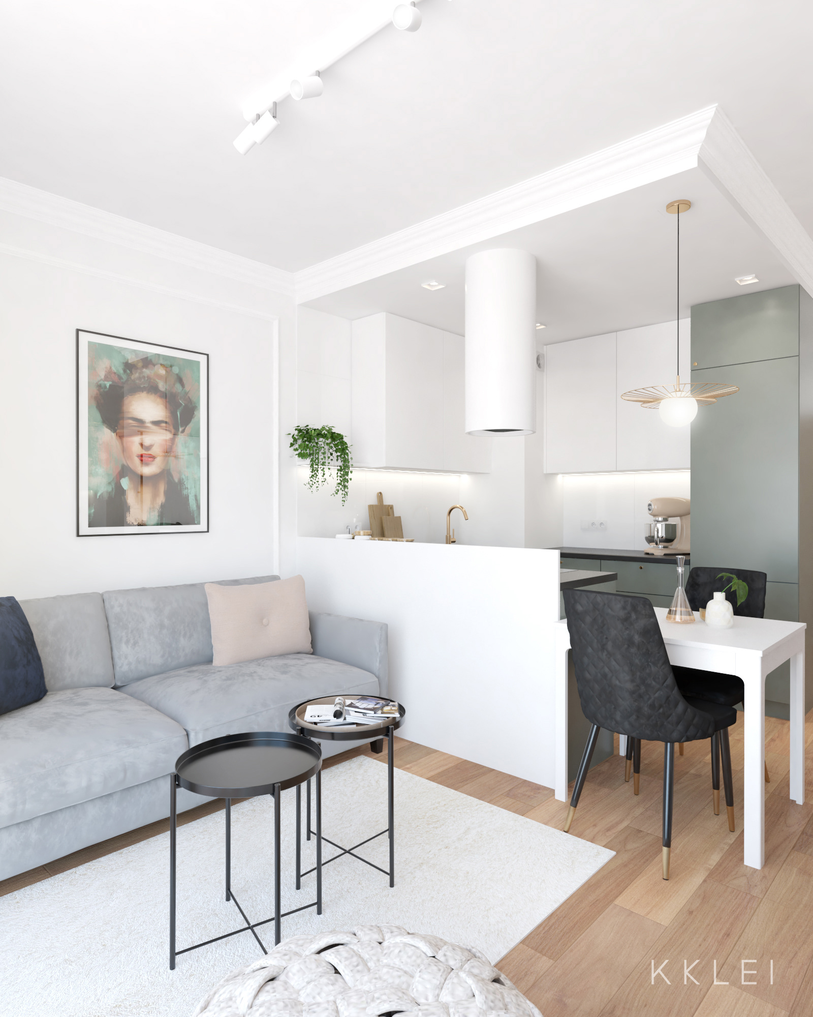 Stacja Gocławek 43 平米住宅室内设计项目丨波兰华沙-0