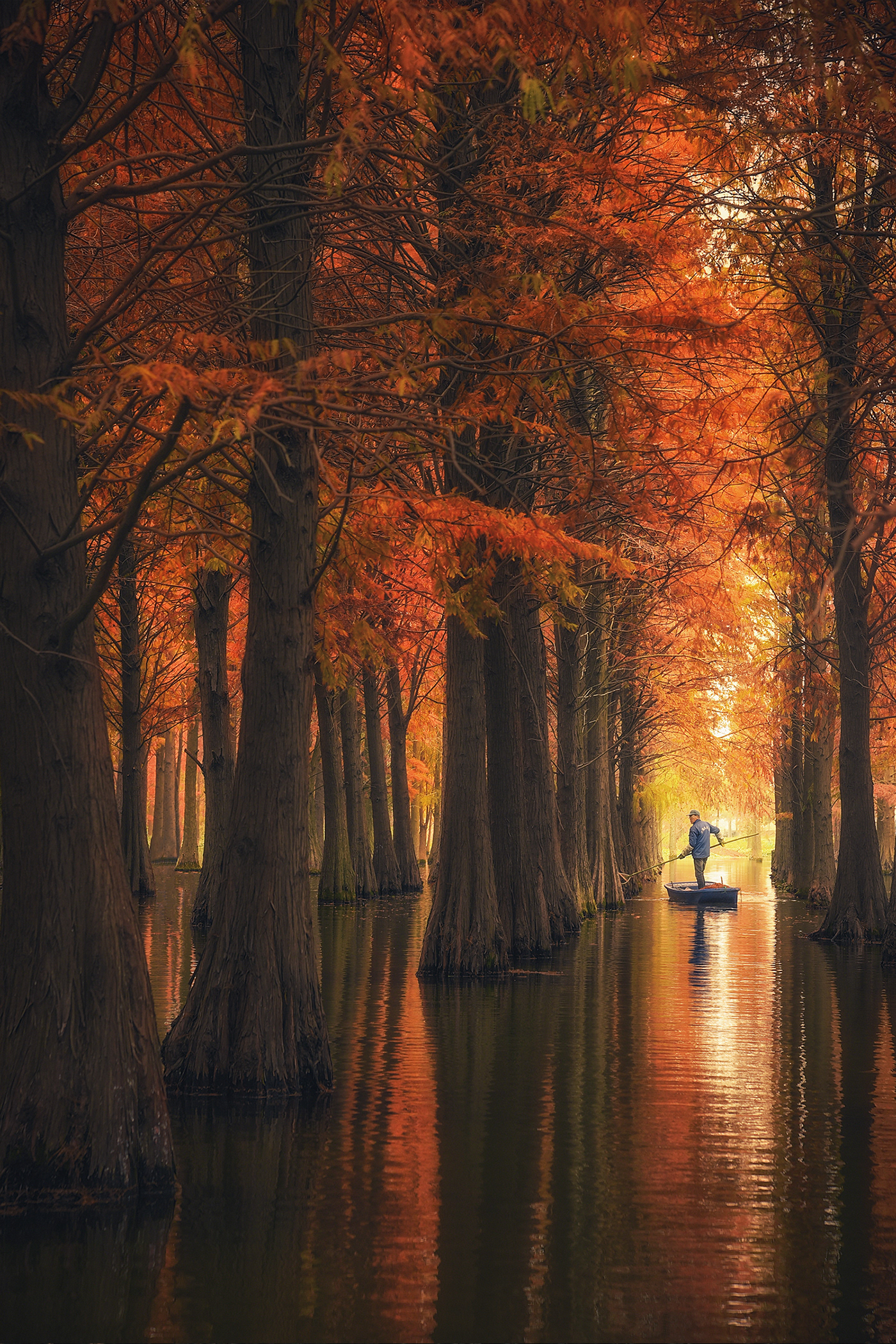 上海古今交融 | 历史遗迹与自然之美的保护与新生-2