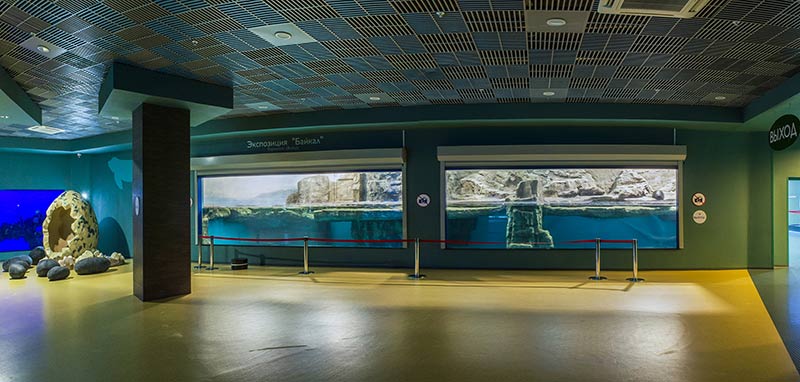 “Moskvarium”海洋馆丨俄罗斯莫斯科丨Aqua Logo Engineering-150