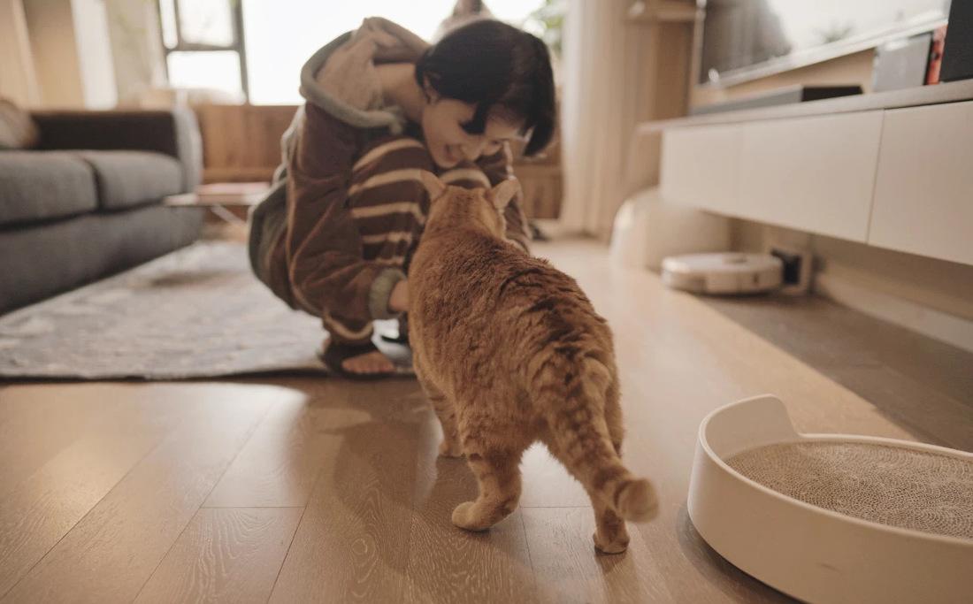 喵星人的温馨家园丨中国重庆丨不详-67