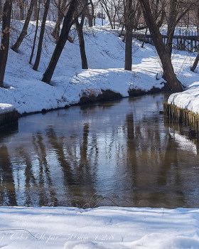 PAINTING EARLY SPRING