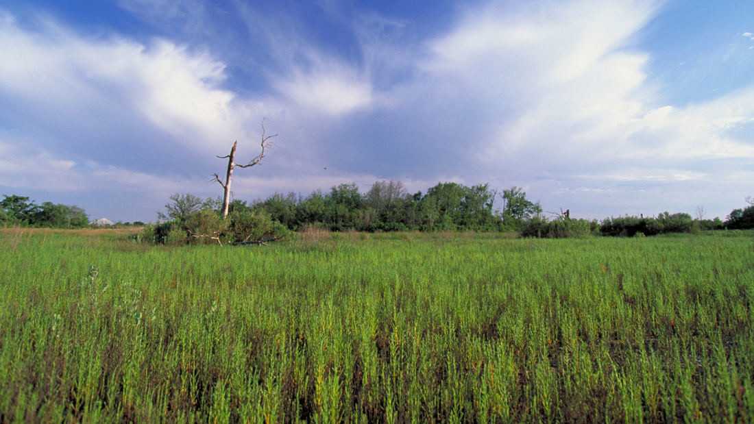 德克萨斯州 Baytown 自然湿地中心丨美国德克萨斯丨SWA-9