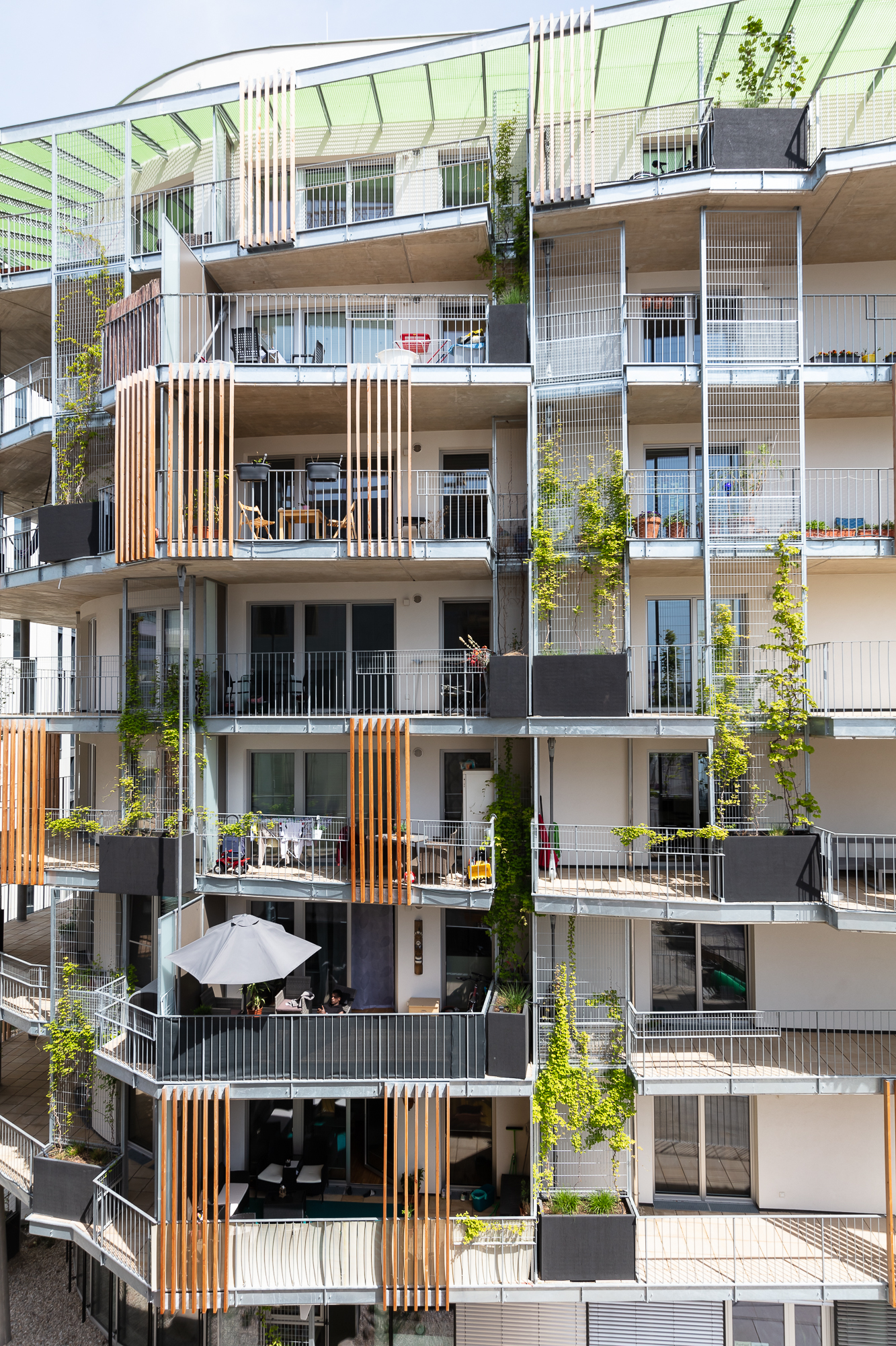 生活花园丨INNOBA-6