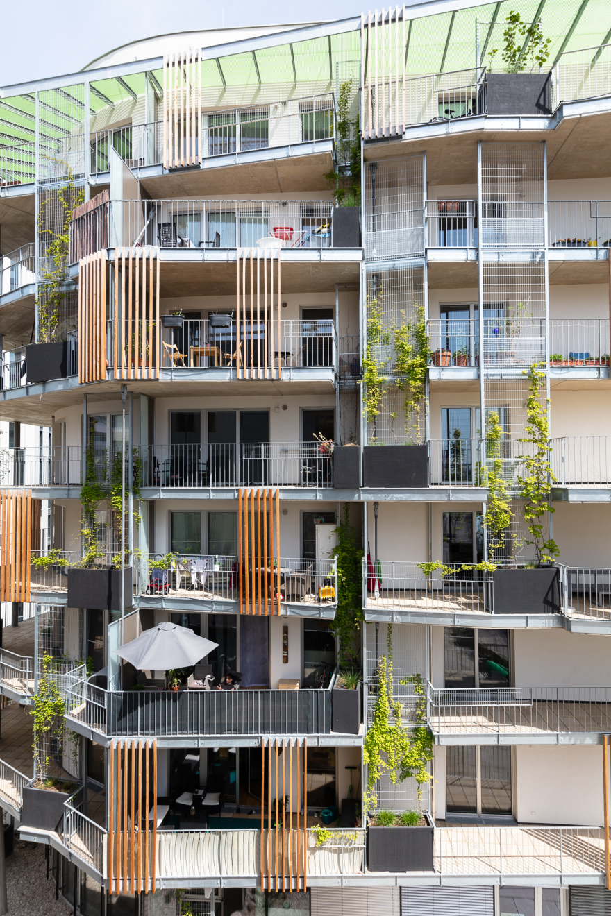 生活花园丨INNOBA-6