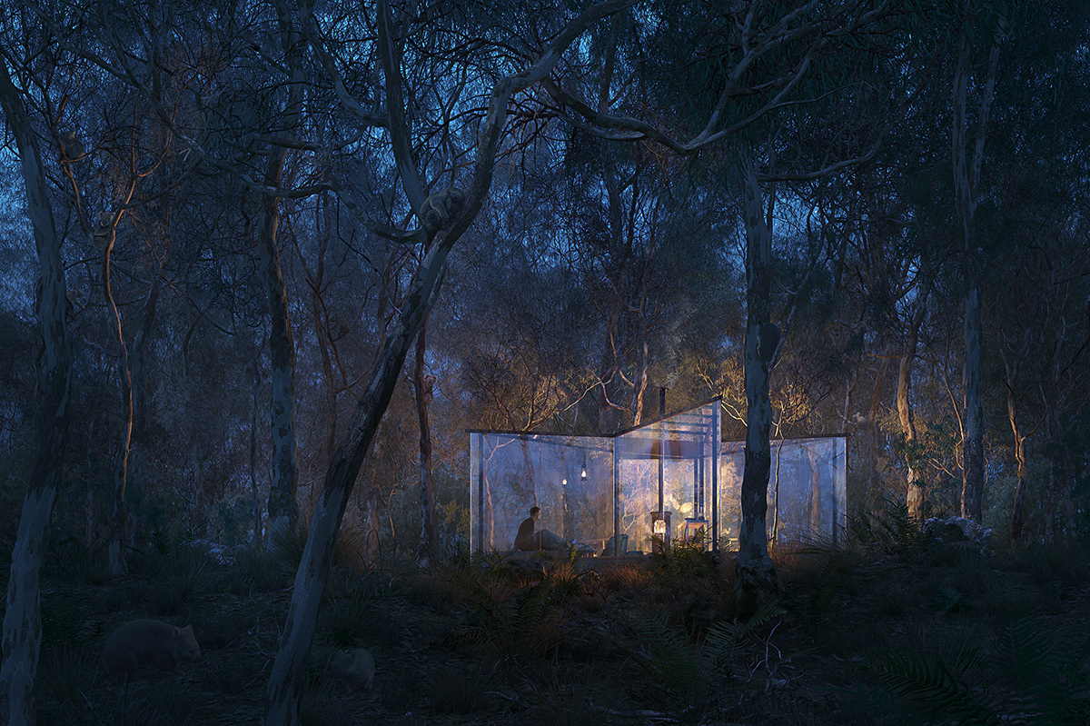 澳大利亚森林中的透明玻璃小屋-1