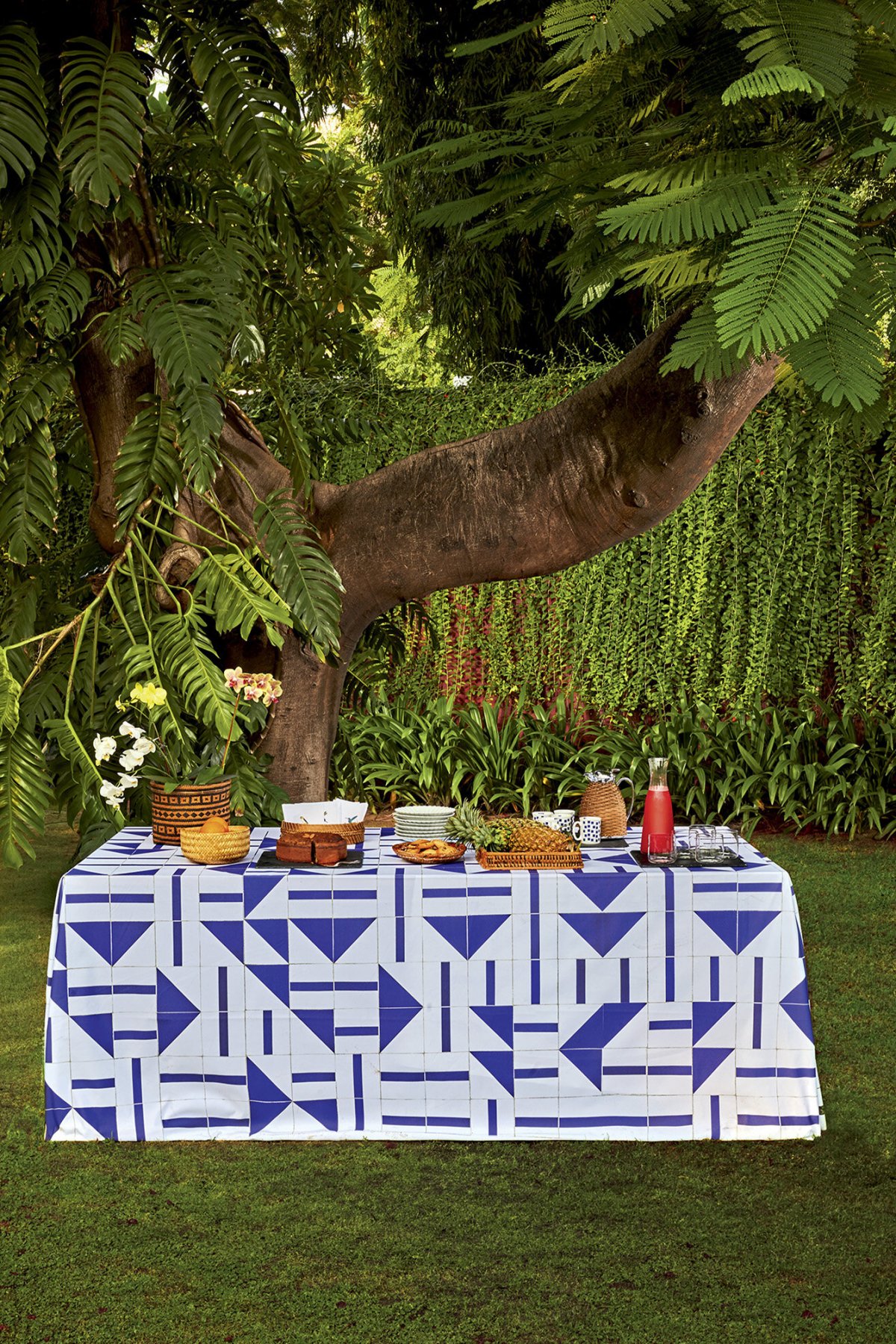 巴西驻印度大使官邸丨印度新德里丨Andre Aranha Corrêa do Lago-19