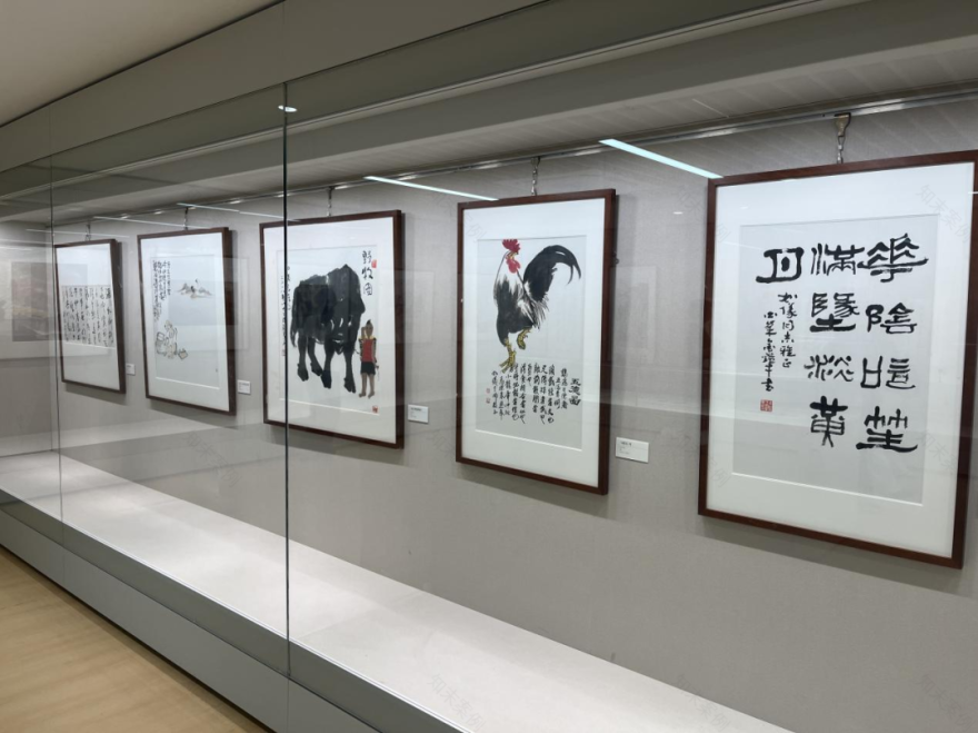 龙邦助力衢州博物馆焕新启航,五大展厅精彩亮相-39