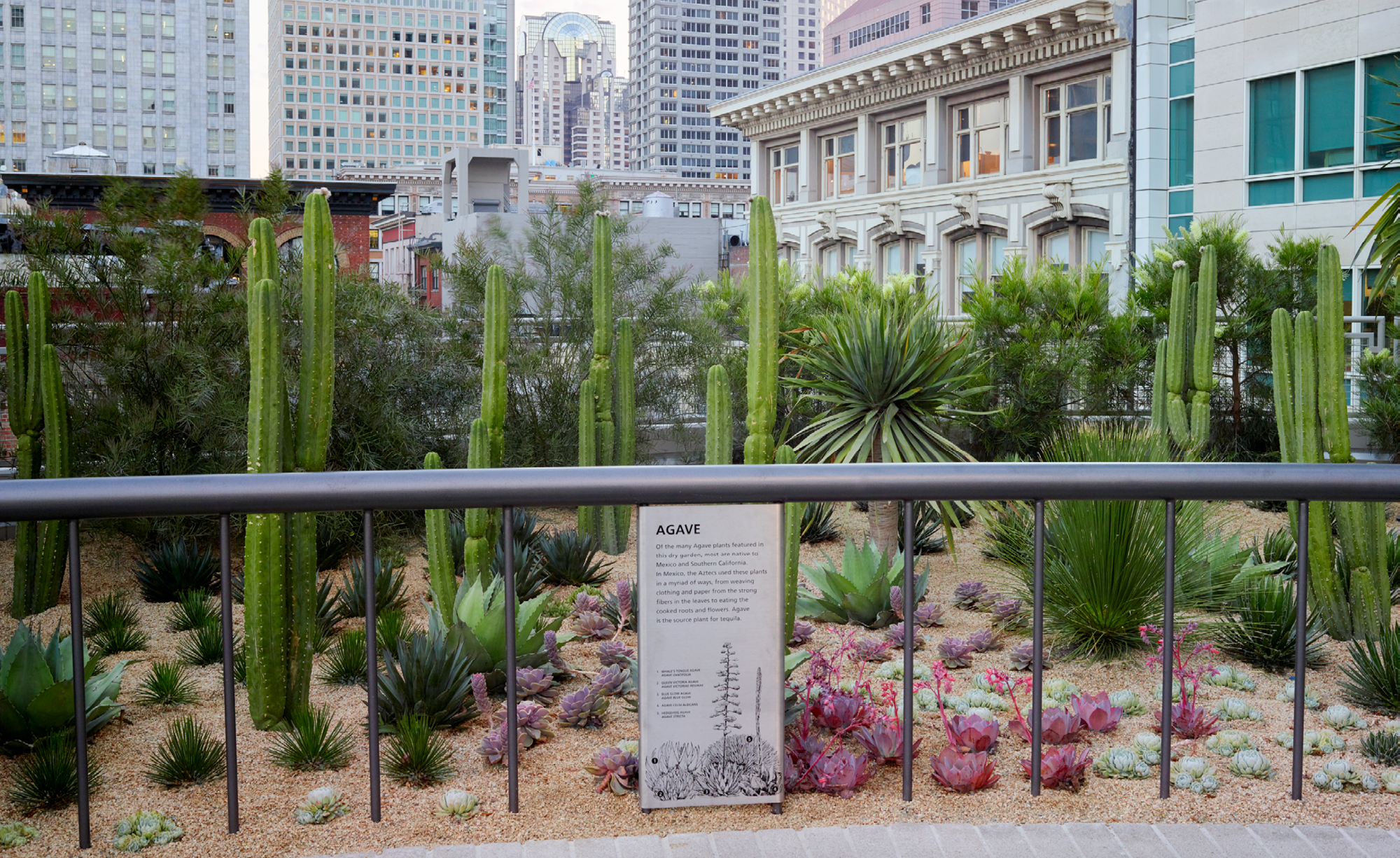 Salesforce交通枢纽公园丨美国丨PWP-12