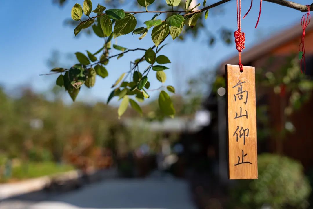 溧阳 1 号公路汨罗灞驿站丨中国江苏丨上海亦境建筑景观有限公司,上海交通大学设计学院风景园林研究所-35