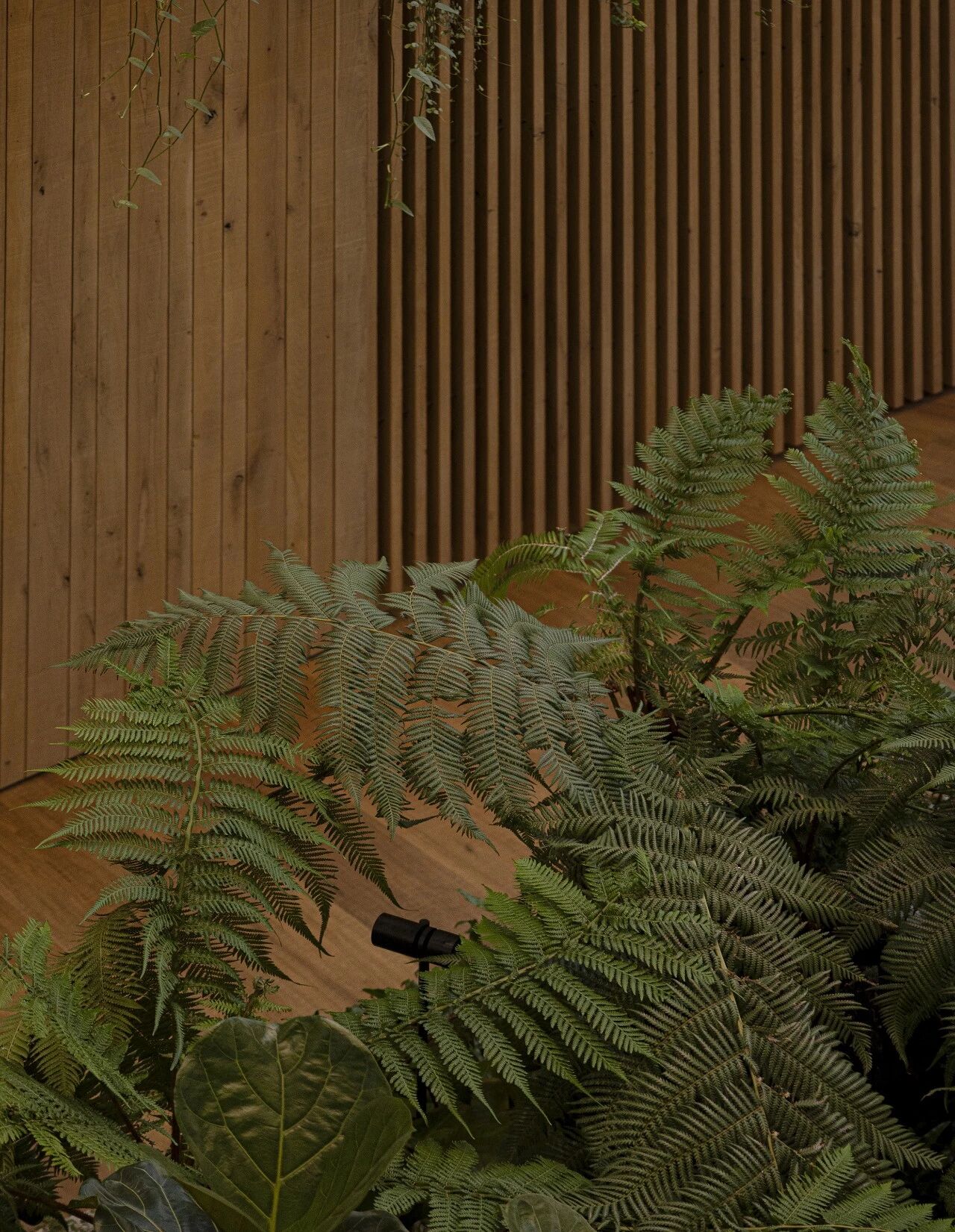 1 Hotel Copenhagen(哥本哈根1酒店)丨丹麦哥本哈根丨Norm Architects-27