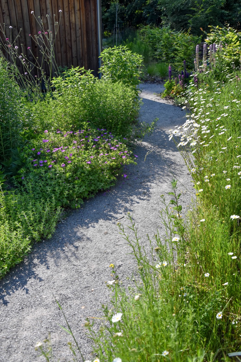 自然之境 · 现代乡村家庭花园-19